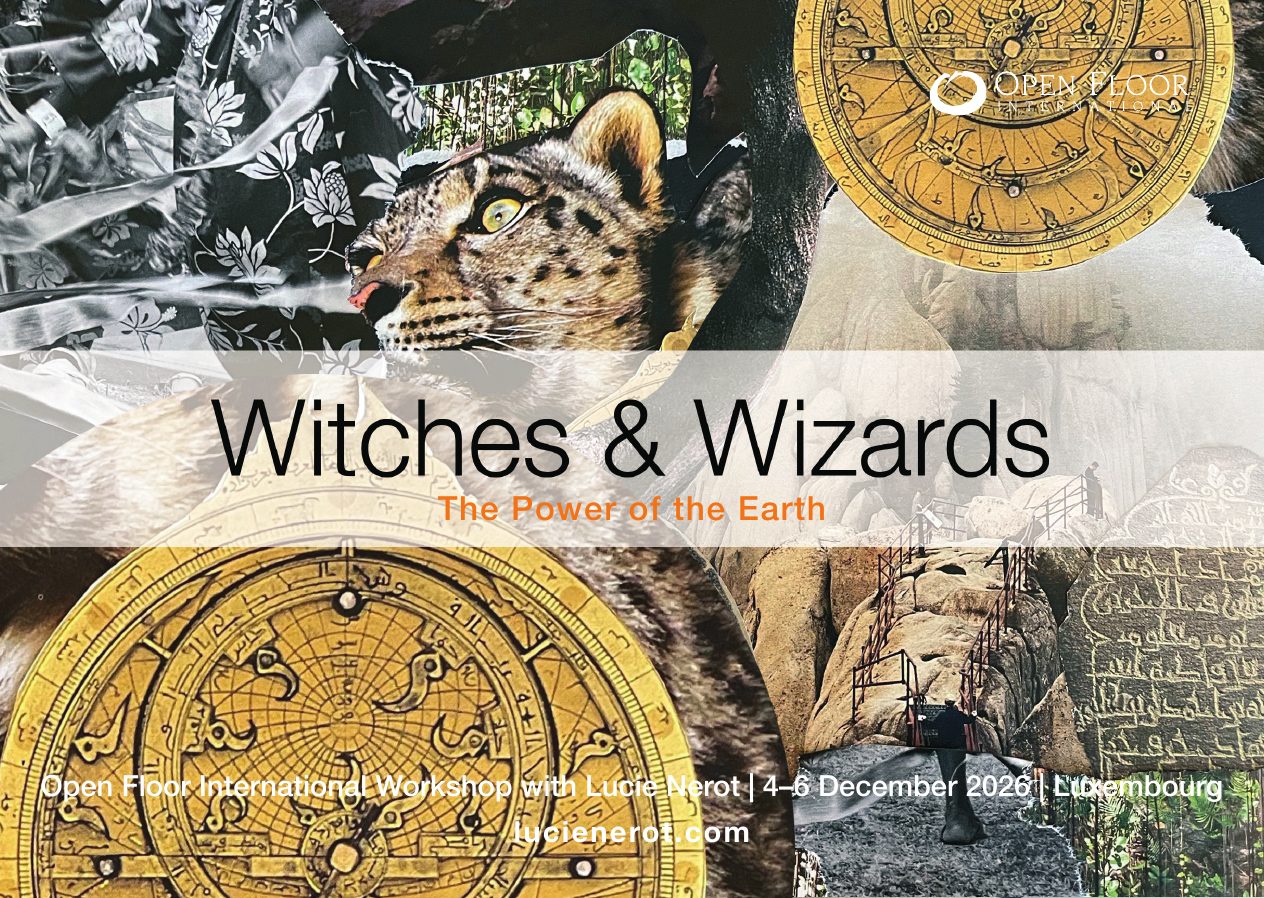 Witches & Wizards, The Power of the Earth: workshop poster